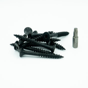10 Zwarte schroeven 6x50 mm (incl. bitje)